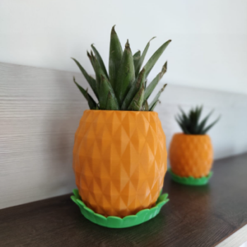 pineapple planters