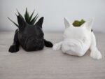 french bulldog black and white plant pots