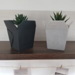chinese food takeout box plant pots