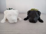 cute dogs plant pots